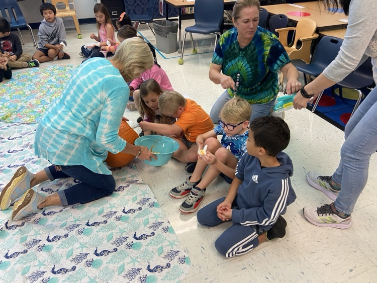 Pumpkin Investigation