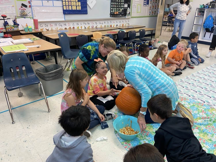 Pumpkin Investigation