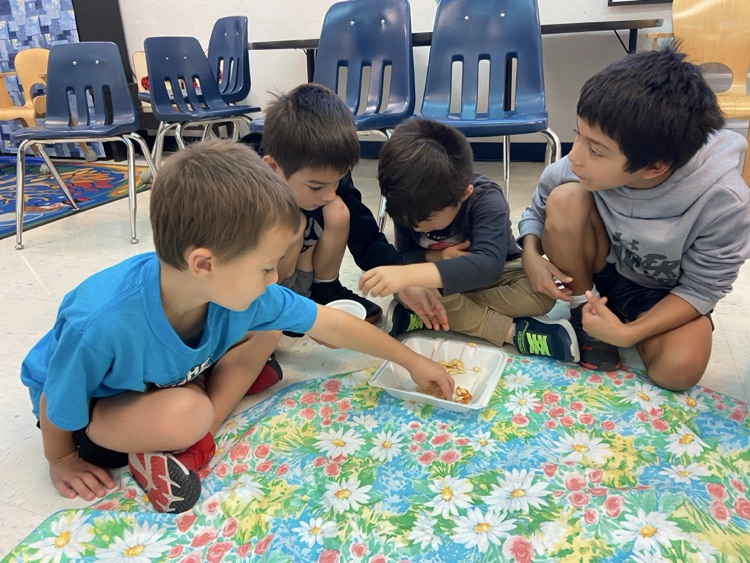 Pumpkin Investigation