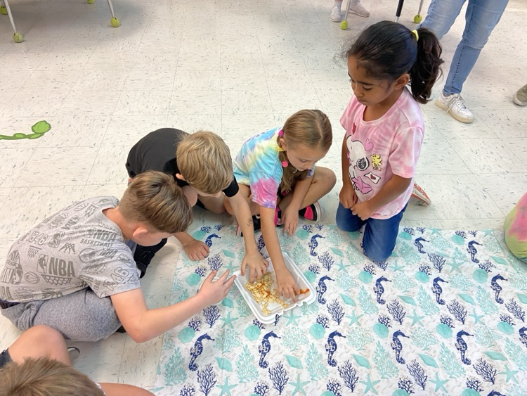 Pumpkin Investigation