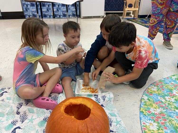 Pumpkin Investigation