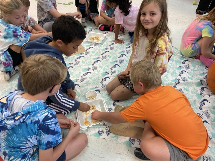 Pumpkin Investigation