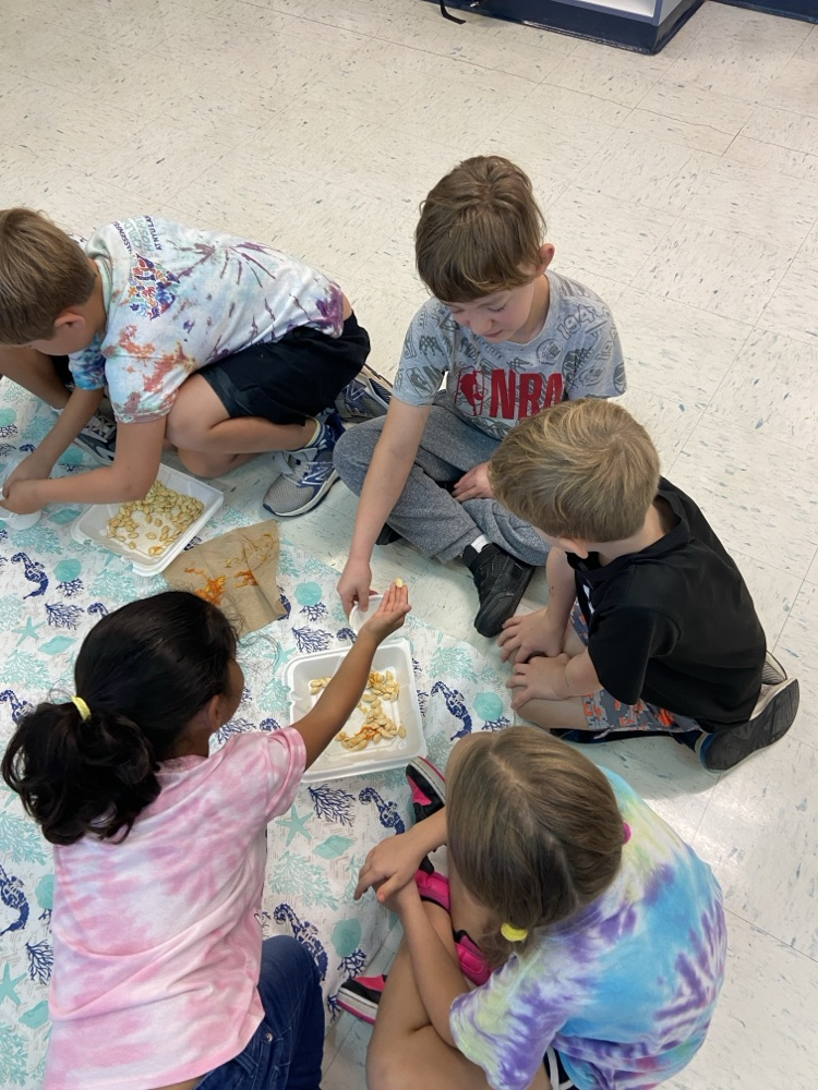 Pumpkin Investigation