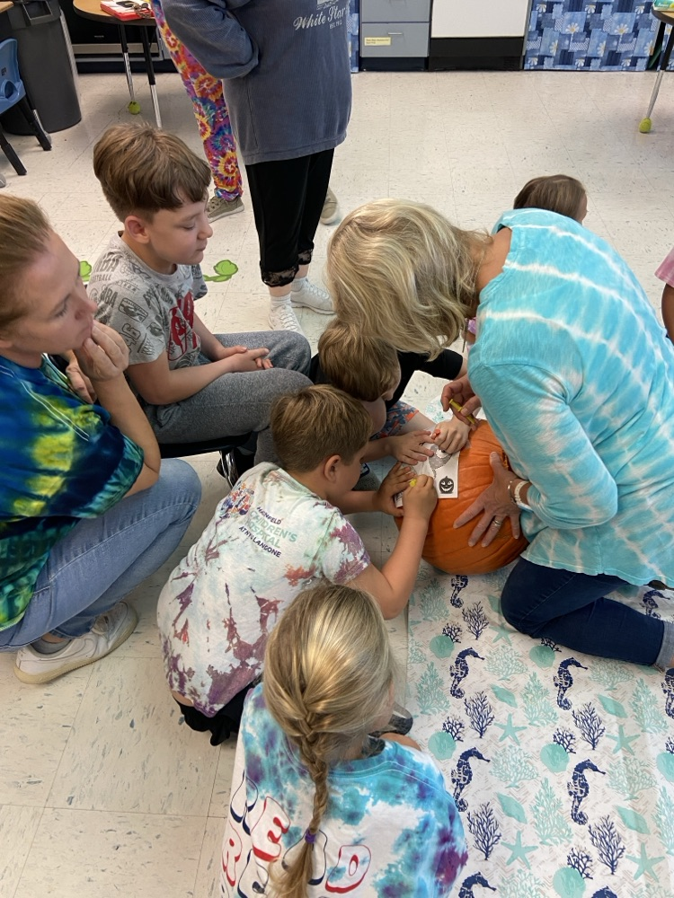 Pumpkin Investigation