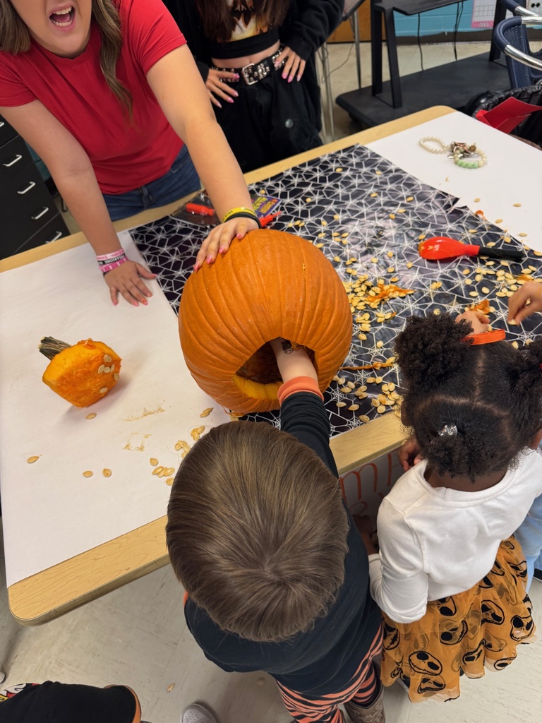 Our Early Childhood Education students did a fantastic job hosting this year’s Little Paws Fall Festival! From pumpkin carving and painting to fun games, music, pizza, and Kona Ice, it was a day filled with laughter, learning, and fall fun. We’re so proud of our students for creating such a memorable experience for our Little Paws!