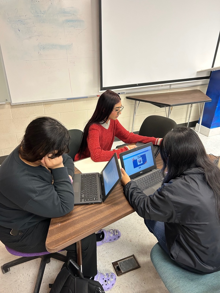 Students in our Government and Government Honors classes have been exploring the concepts of civic responsibility and civic duty as U.S. citizens in preparation for the Florida Civic Literacy Exam (FCLE). Each student researched a key component of citizenship—such as Voting & Elections, Rights & Responsibilities, Community Engagement, Understanding the Constitution, or Rule of Law—and created a poster to showcase their findings. This project allowed students to focus on areas of personal interest while engaging in one-on-one discussions to deepen understanding. Their posters are now displayed in the classroom and hallways as a visual reminder of what it means to be an informed and active citizen.