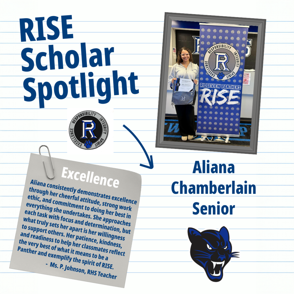 RISE Scholar