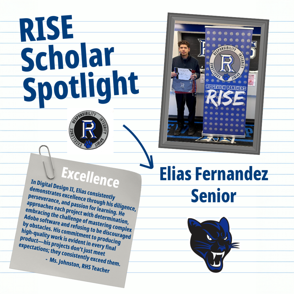 RISE Scholar