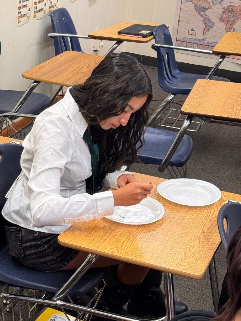 Students in Ms. Marrero’s Spanish 2 and AICE 2 classes celebrated Día de los Muertos by decorating remembrance stones dedicated to loved ones, pets, or admired figures who have passed away. As part of this cultural exploration, students expressed their emotions and described their creative process entirely in Spanish, using familiar vocabulary and new descriptive phrases. Through this experience, they deepened their language skills while connecting the rich traditions, symbols, and meanings of Día de los Muertos to their own lives.