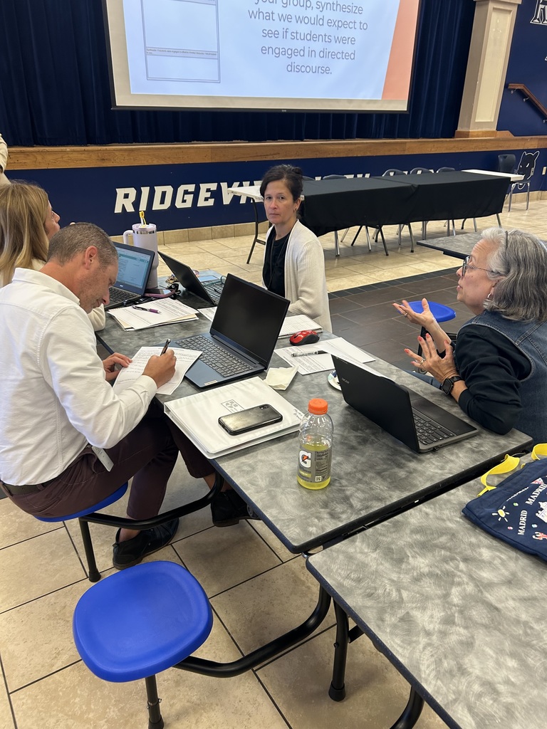 Panther Professional Learning in Action