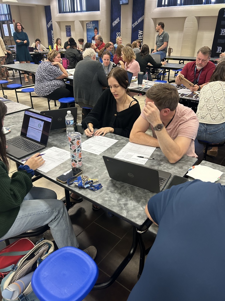 Panther Professional Learning in Action