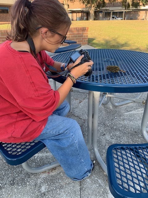 Mr. Nesi’s Photography students took their learning outdoors this week, exploring Ridgeview’s courtyard to practice composition, lighting, and perspective. From experimenting with angles to capturing natural light and shadows, students applied classroom concepts in real-world settings, honing their technical skills while developing their artistic eye. Every camera click was a chance to see the world through a new lens!