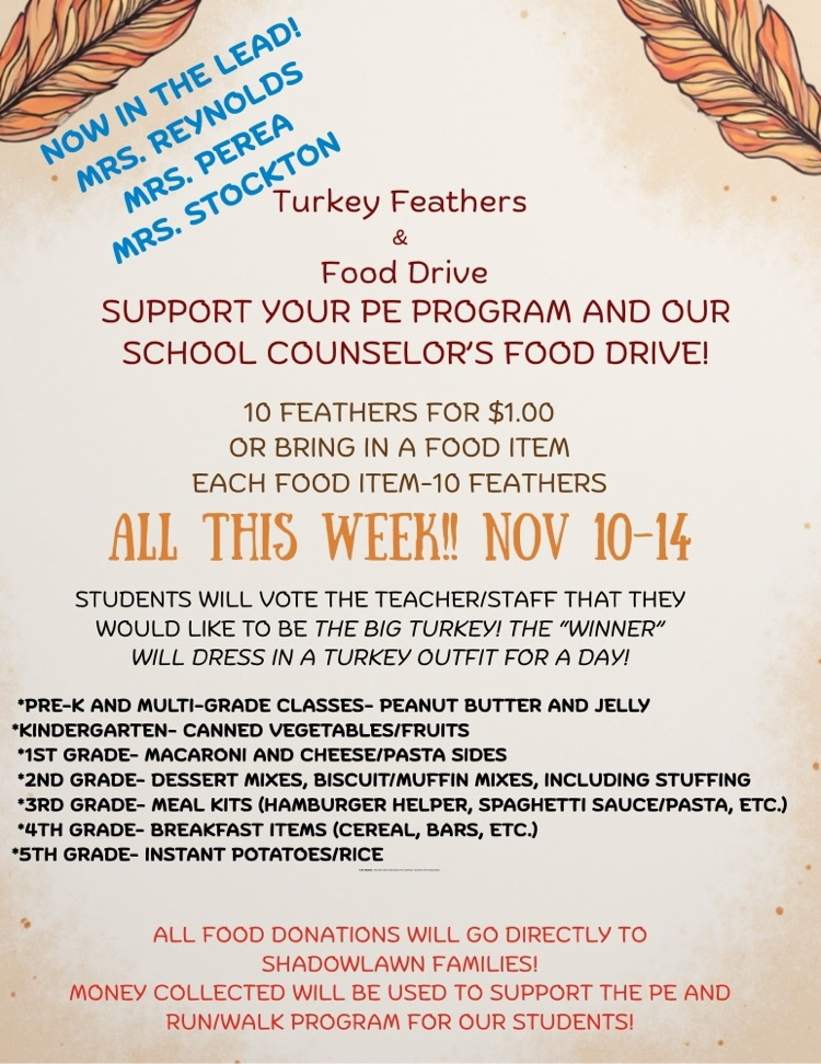 update on turkey feathers 