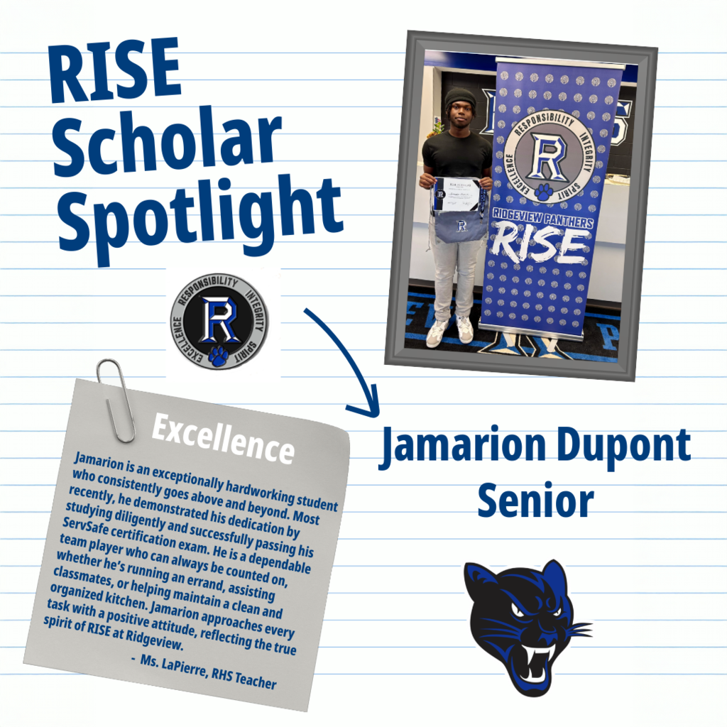 RISE Scholar 