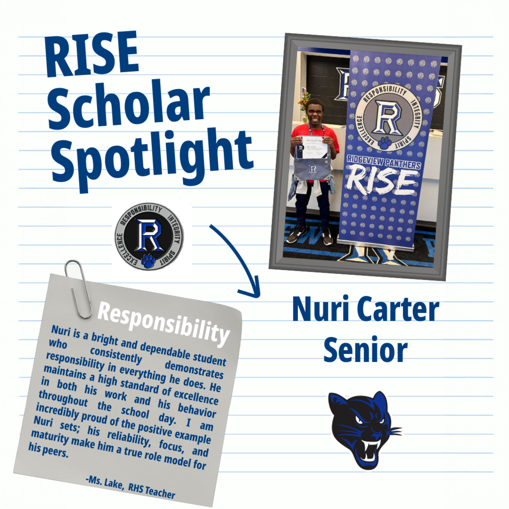 RISE Scholar