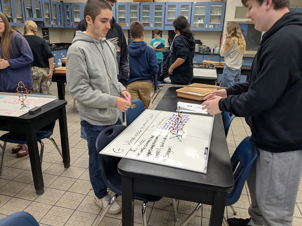 Students in Ms. Derousie’s Honors Biology class showcased impressive scientific thinking as they engaged in argumentation to determine the structure of DNA. Using the same types of experimental evidence examined by Watson and Crick, students analyzed data, constructed claims, and defended their conclusions with evidence-based reasoning. A powerful learning experience that connected historical discovery to modern scientific practice—well done, Panthers!