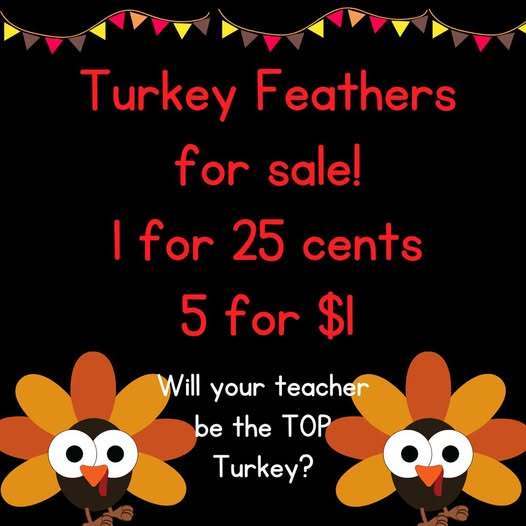 turkey featers