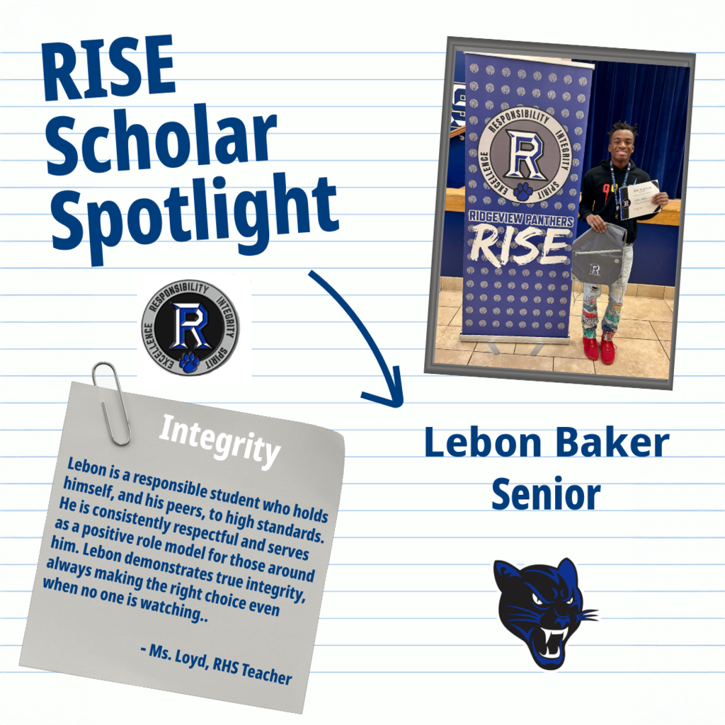 RISE Scholar
