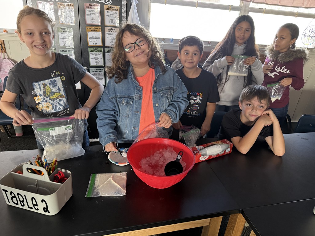 STEM 5th Grade Science