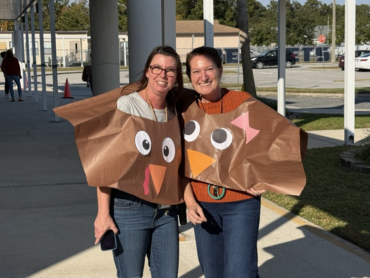 Thankful for these turkeys!