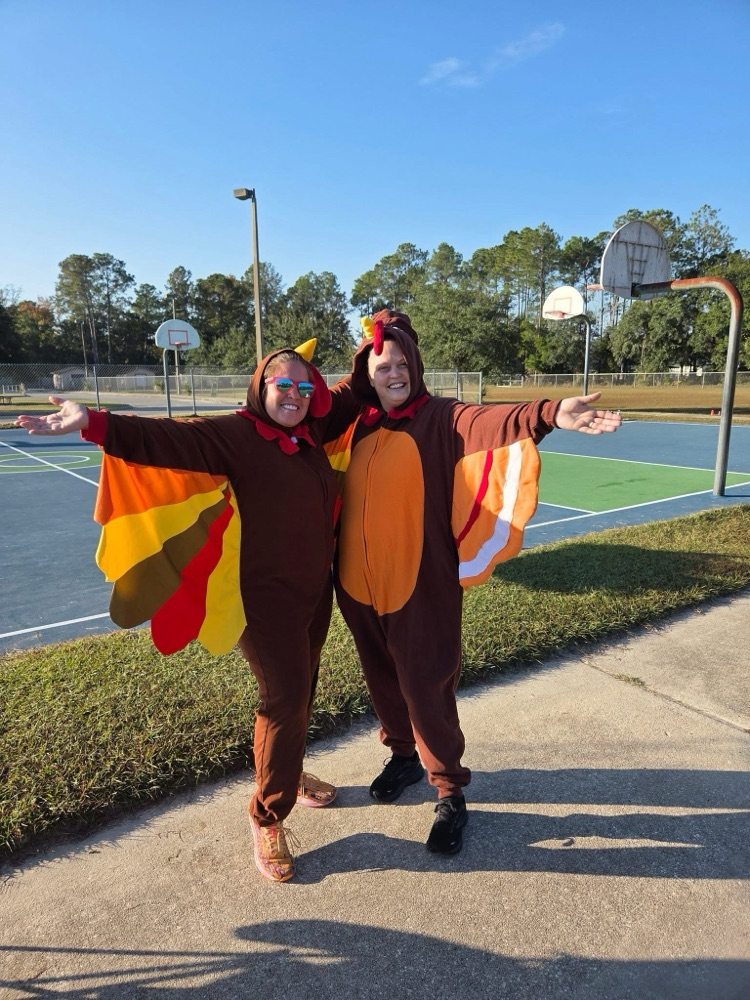 Thankful for these turkeys!