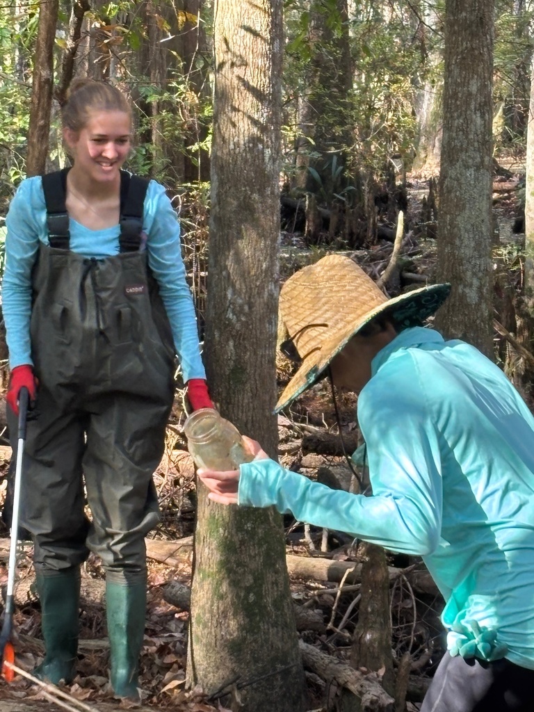 This past Saturday, our Earth Club students rolled up their sleeves and spent the morning caring for Crosby Sanctuary. They picked up garbage from the swamp, cleared and trimmed vegetation along the trails, and weeded the native plant garden — all to help preserve this beautiful local ecosystem. We are so proud of their hard work and commitment to protecting our environment!