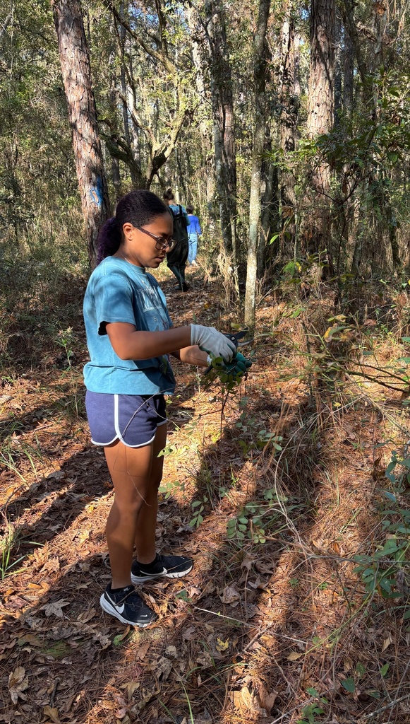 This past Saturday, our Earth Club students rolled up their sleeves and spent the morning caring for Crosby Sanctuary. They picked up garbage from the swamp, cleared and trimmed vegetation along the trails, and weeded the native plant garden — all to help preserve this beautiful local ecosystem. We are so proud of their hard work and commitment to protecting our environment!