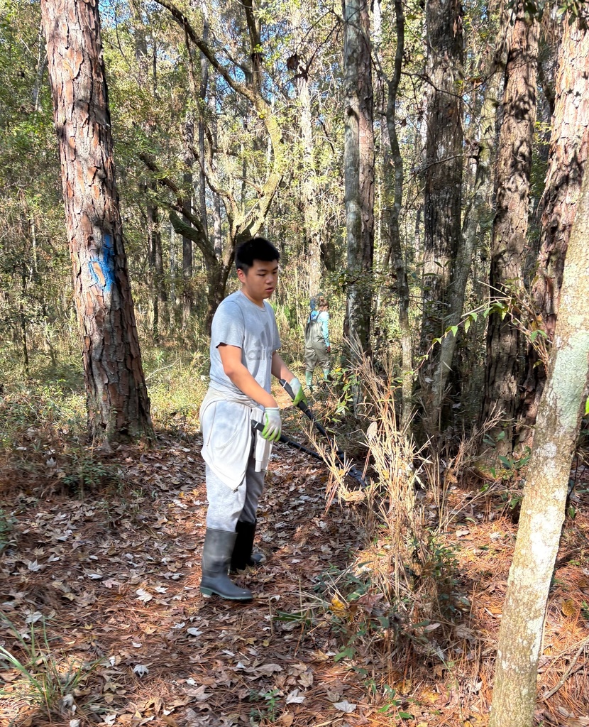 This past Saturday, our Earth Club students rolled up their sleeves and spent the morning caring for Crosby Sanctuary. They picked up garbage from the swamp, cleared and trimmed vegetation along the trails, and weeded the native plant garden — all to help preserve this beautiful local ecosystem. We are so proud of their hard work and commitment to protecting our environment!