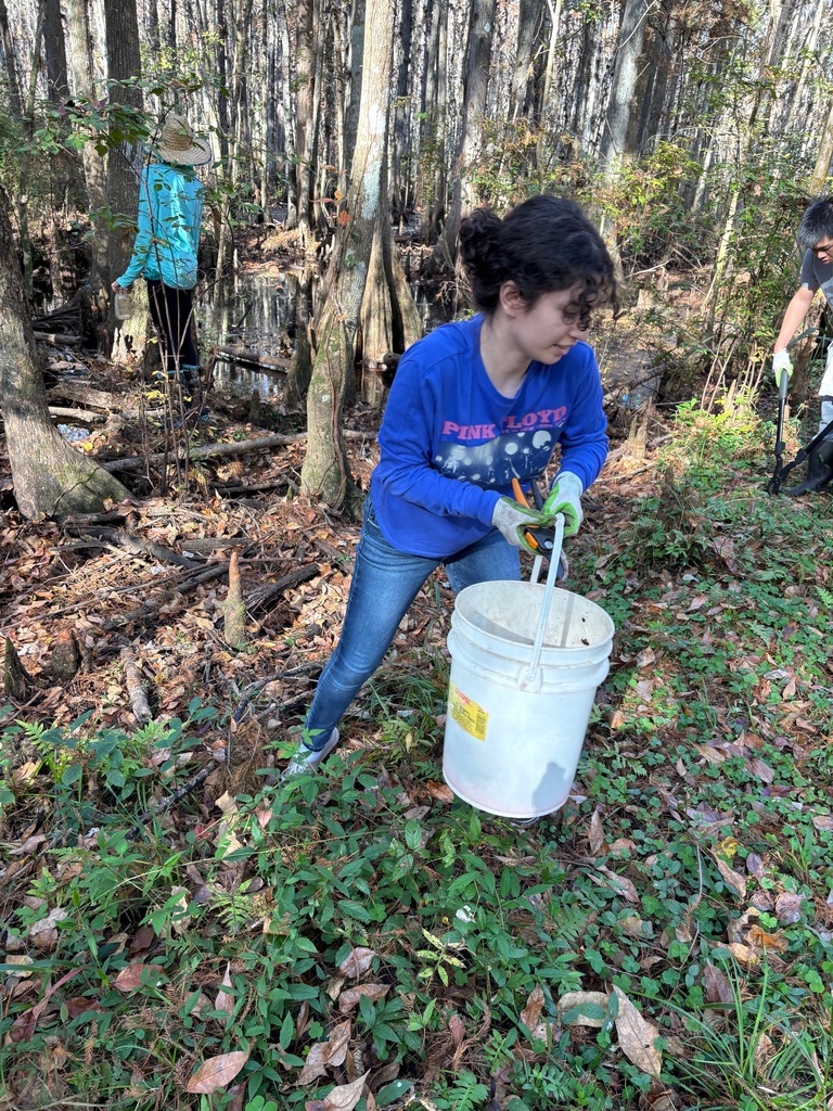 This past Saturday, our Earth Club students rolled up their sleeves and spent the morning caring for Crosby Sanctuary. They picked up garbage from the swamp, cleared and trimmed vegetation along the trails, and weeded the native plant garden — all to help preserve this beautiful local ecosystem. We are so proud of their hard work and commitment to protecting our environment!