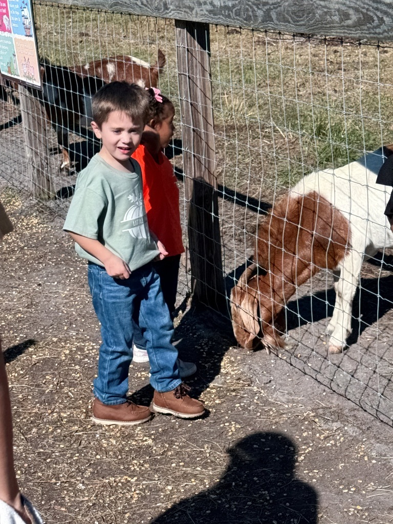 In November, our Little Paws enjoyed a fun-filled field trip to Amazing Grace Family Farms! From exploring the cornfield and interacting with farm animals to jumping, playing, and discovering new textures, our youngest Panthers had an unforgettable day of hands-on learning and fall adventures. We love seeing their smiles, curiosity, and joy as they experience the world beyond the classroom!