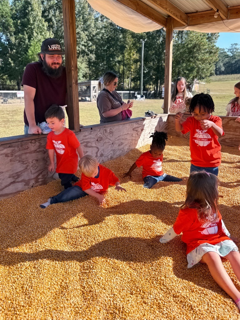 In November, our Little Paws enjoyed a fun-filled field trip to Amazing Grace Family Farms! From exploring the cornfield and interacting with farm animals to jumping, playing, and discovering new textures, our youngest Panthers had an unforgettable day of hands-on learning and fall adventures. We love seeing their smiles, curiosity, and joy as they experience the world beyond the classroom!