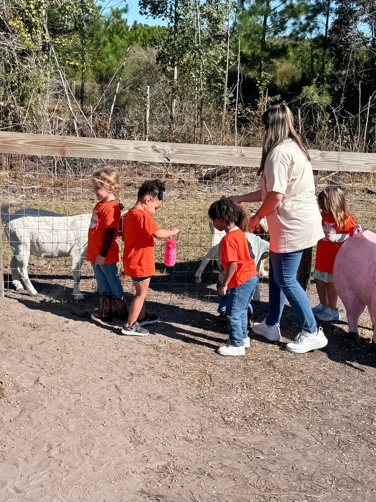 In November, our Little Paws enjoyed a fun-filled field trip to Amazing Grace Family Farms! From exploring the cornfield and interacting with farm animals to jumping, playing, and discovering new textures, our youngest Panthers had an unforgettable day of hands-on learning and fall adventures. We love seeing their smiles, curiosity, and joy as they experience the world beyond the classroom!