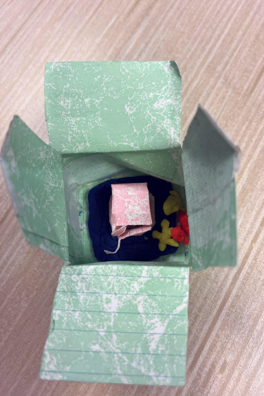 November STEAM 25-26