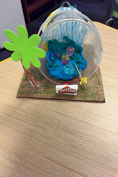 November STEAM 25-26