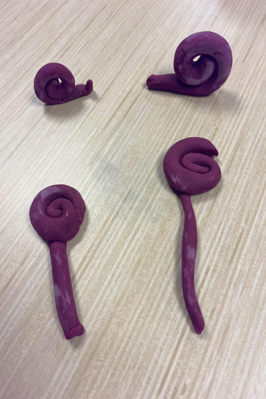 November STEAM 25-26