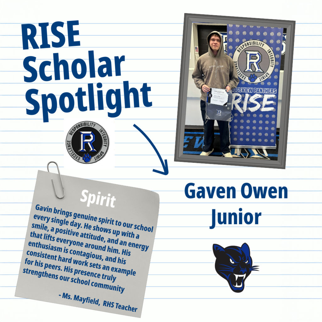 RISE Scholar