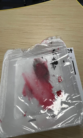 December STEAM 25-26