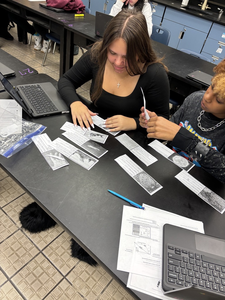 Ms. Pollard’s Environmental Science students put their knowledge into action by exploring how energy moves through an ecosystem. Using their understanding of feeding relationships, students identified the sun as the ultimate energy source, classified organisms as producers or consumers, and constructed accurate food webs to demonstrate the flow of energy. This hands-on learning experience strengthened critical thinking and helped students make meaningful connections between concepts and real-world ecosystems.