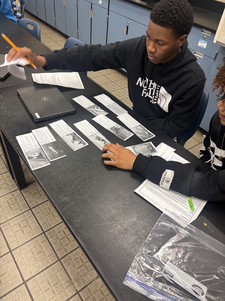 Ms. Pollard’s Environmental Science students put their knowledge into action by exploring how energy moves through an ecosystem. Using their understanding of feeding relationships, students identified the sun as the ultimate energy source, classified organisms as producers or consumers, and constructed accurate food webs to demonstrate the flow of energy. This hands-on learning experience strengthened critical thinking and helped students make meaningful connections between concepts and real-world ecosystems.