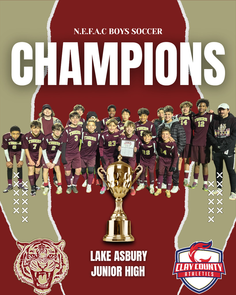 LAJH Soccer Champions Graphic