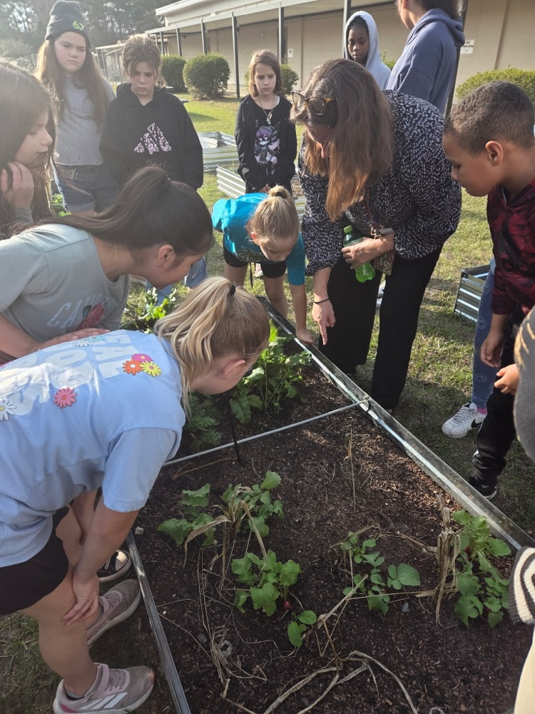 CEB’s Gardening Club