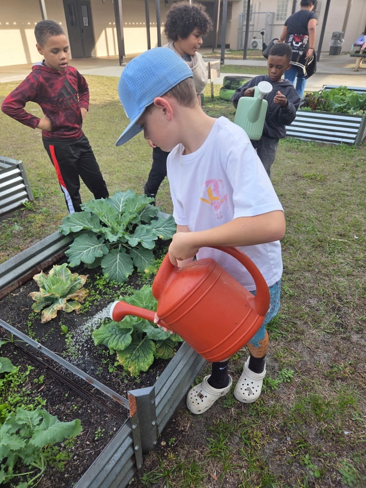 CEB’s Gardening Club