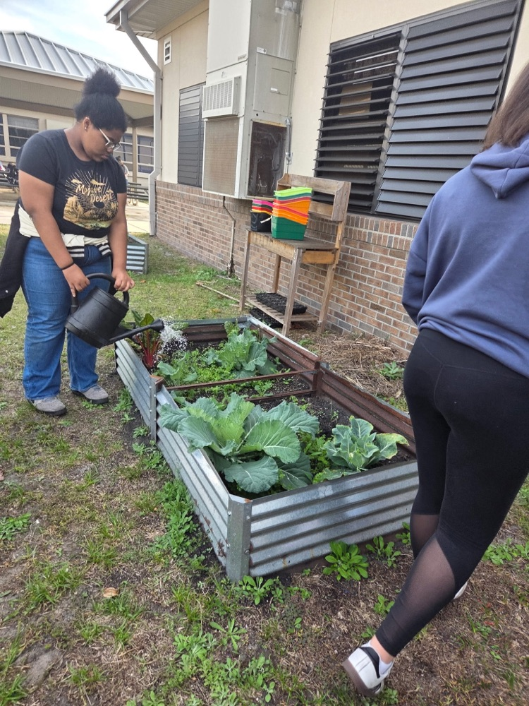 CEB’s Gardening Club