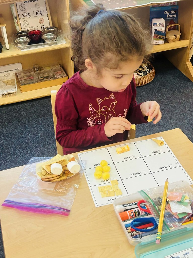 Mrs. Maly’s Primary Montessori naming, sorting, counting & eating 2 & 3 Dimensional shapes for snack!  😊❤️👍🏻