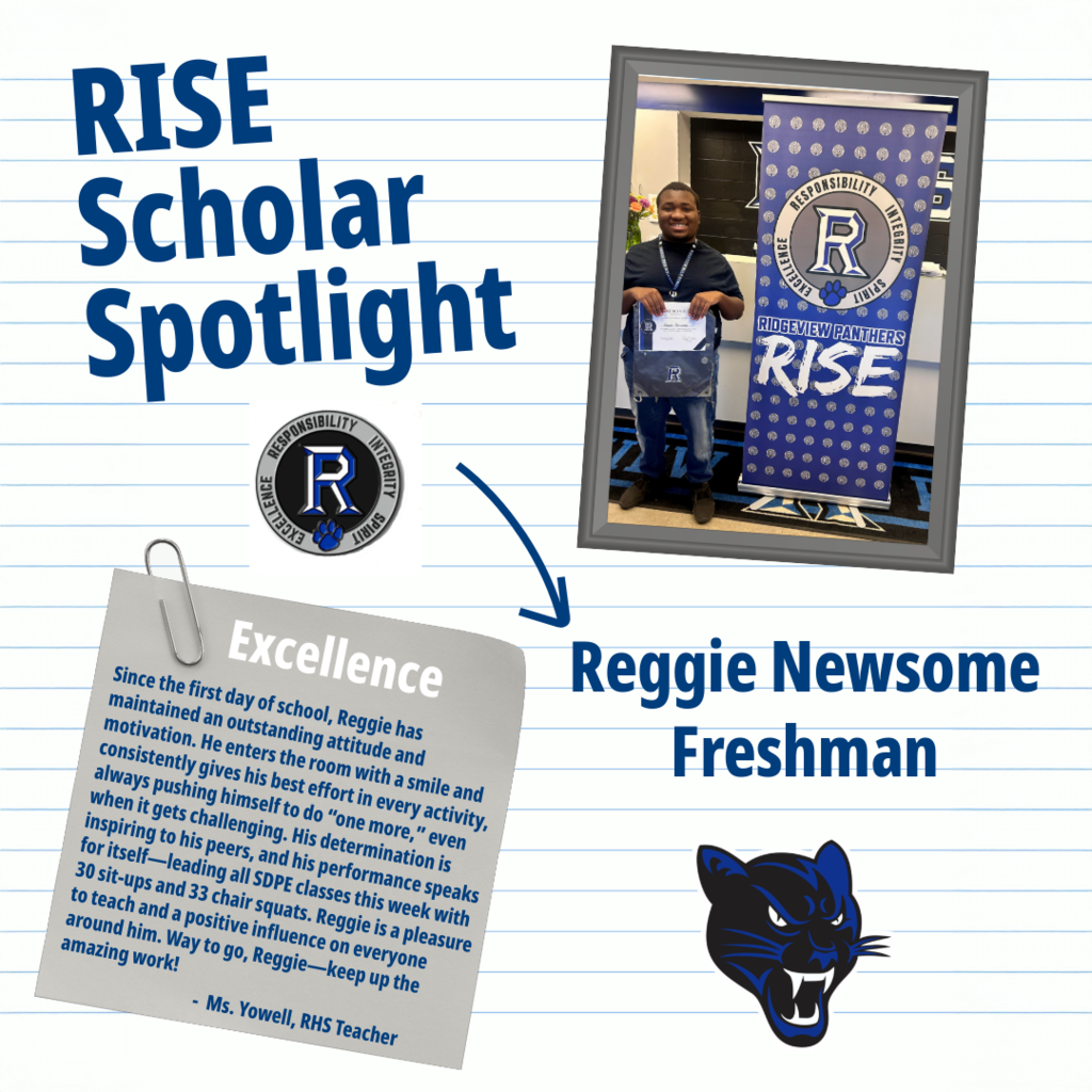 RISE Scholar 