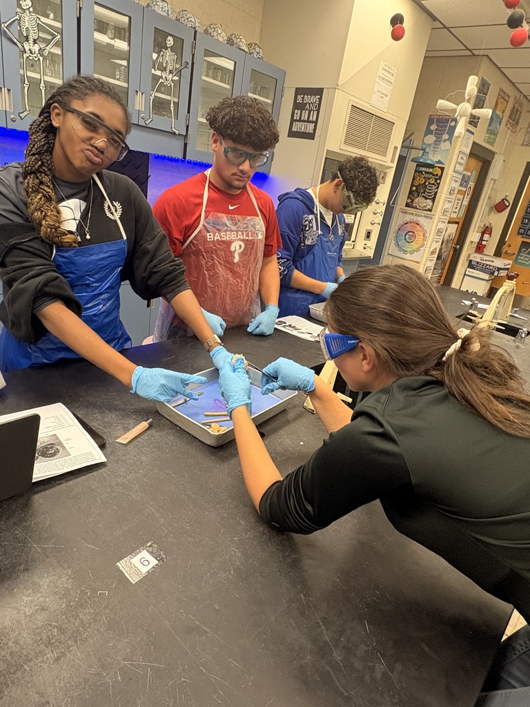 Ms. Andersen’s Anatomy & Physiology students took a deep dive into the structure and function of the human eye through a cow eye dissection. Using a cow eye, whose structures closely resemble those of the human eye, students identified key anatomical features. They made real-world connections between structure and function, bringing textbook concepts to life.