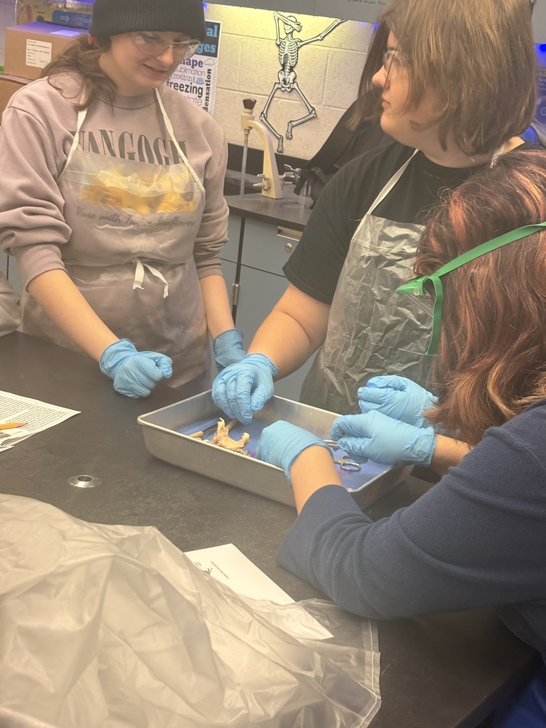 Ms. Andersen’s Anatomy & Physiology students took a deep dive into the structure and function of the human eye through a cow eye dissection. Using a cow eye, whose structures closely resemble those of the human eye, students identified key anatomical features. They made real-world connections between structure and function, bringing textbook concepts to life.