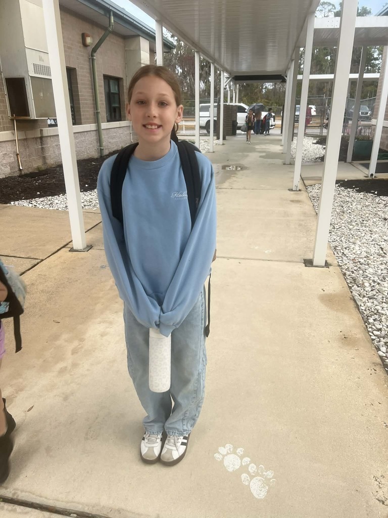 Literacy week Dress UP Days