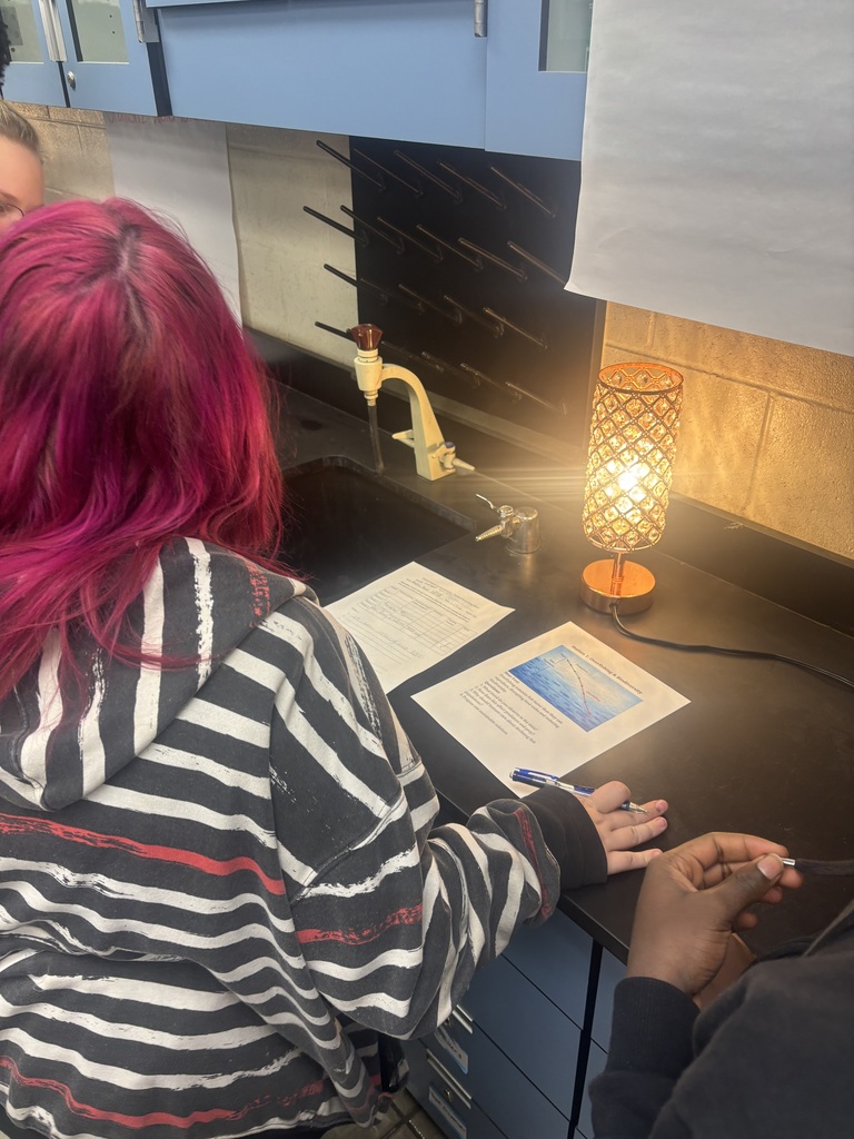 Ms. Pollard’s Environmental Science students rotated through interactive stations to analyze real-world examples of human impact on ecosystems. Using visuals, data, and short texts, students identified human causes, evaluated effects on ecosystems, recorded evidence, and collaborated to discuss practical, real-world solutions. This hands-on, inquiry-based approach strengthened critical thinking, collaboration, and environmental awareness.