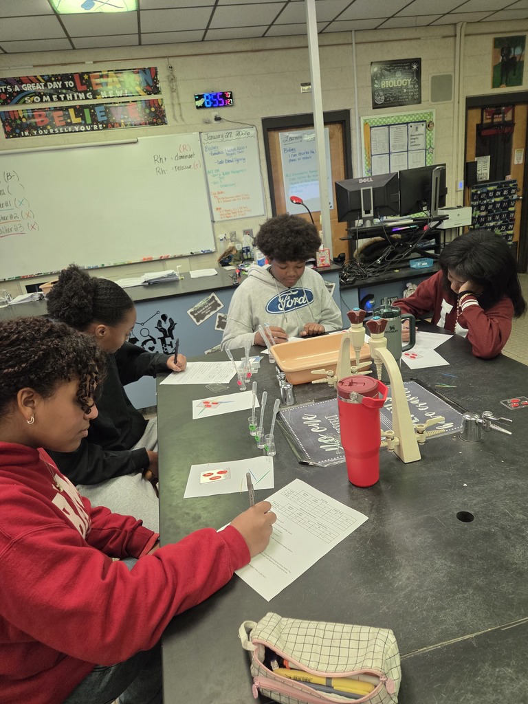 Dr. Wells’s Pre-IB/AICE Biology students brought genetics to life during yesterday’s lab by solving a hands-on “medical mystery.” Working in small groups, students used forensic blood typing to test samples and identify ABO and Rh phenotypes, applying their understanding of multiple alleles in a real-world context. This engaging lab highlighted collaboration, critical thinking, and mastery of key genetics concepts.
